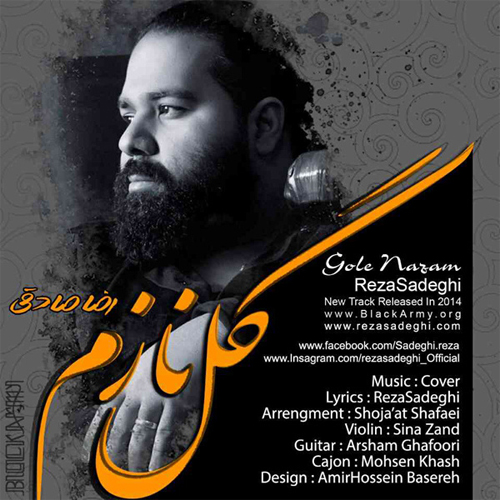 دانلود آهنگ گل نازم رضا صادقی